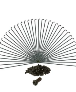 Dt-swiss SPEICHEN - Schwarz (40 Stk.)